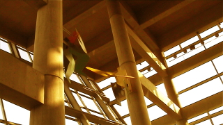254516408_19.jpg